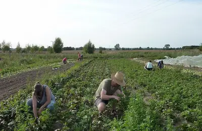 Agricoltura sociale