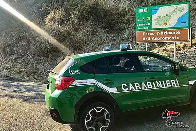 carabinieri forestali rc