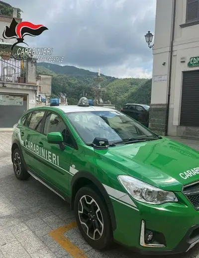 Carabinieri Forestali