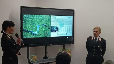 Bilancio arma forestale