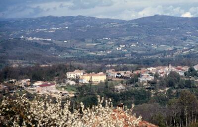 Decollatura