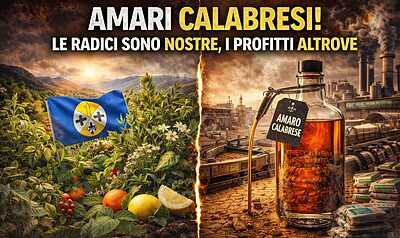 amari calabresi