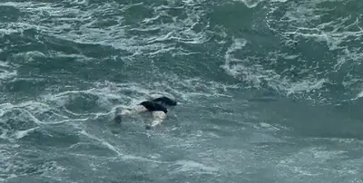 Uno dei corpi in mare a Tropea