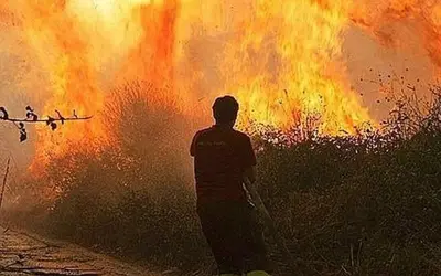 Incendi in Calabria