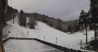 Torna la neve in Sila