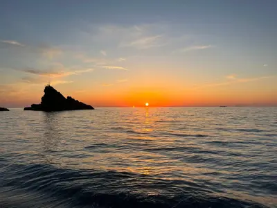 Palmi