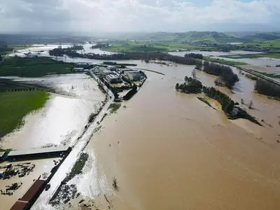 Il maltempo ha devastato le coltivazioni calabresi