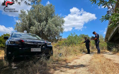 I controlli dei carabinieri forestali