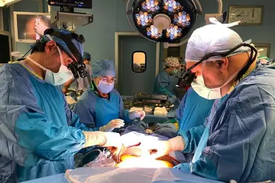 Medici in sala operatoria