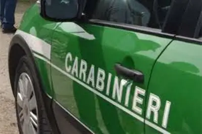 Carabinieri Forestali