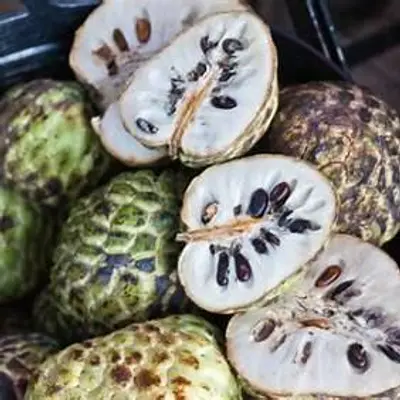 annona