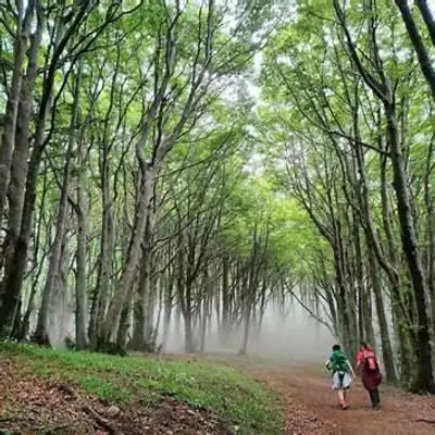 Cammino di San Francesco di Paola