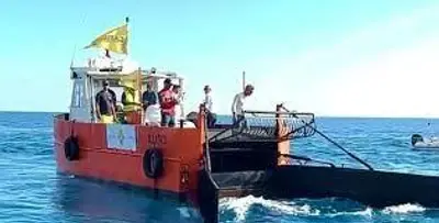 battelli pulisci mare