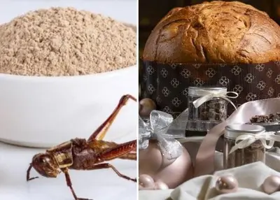 Panettone 'Pancricri' realizzato con farina di insetti