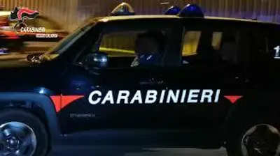 Blitz contro le cosche del lametino. 59 arresti