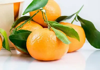 Le clementine