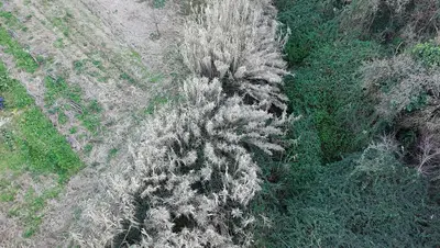 Fiume 'fogna' di Donnici