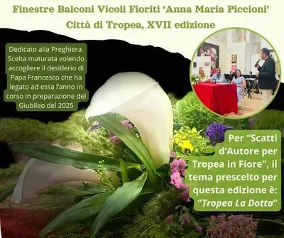 Locandina Finestre Balconi Vicoli Fioriti