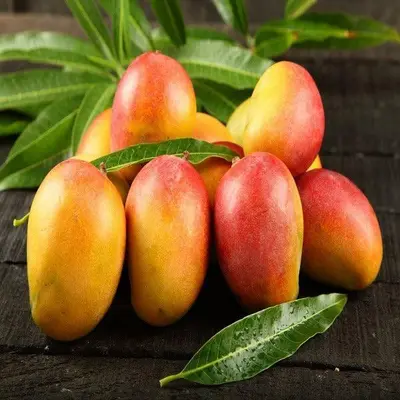 Il mango calabrese
