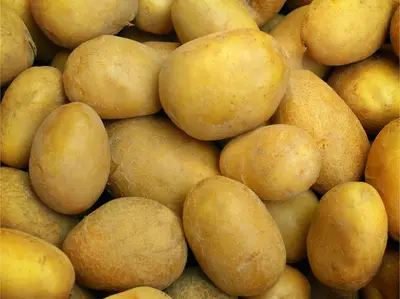 La patata della Sila