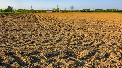 terreno incolto