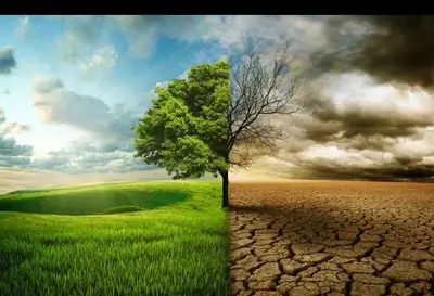 agricoltura penalizzata dal clima