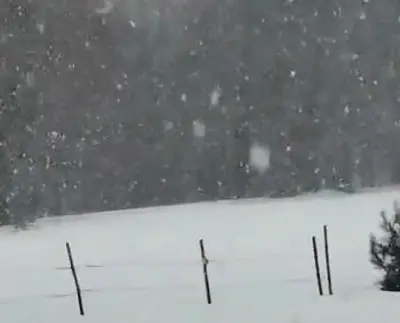 Neve a Tirivolo (foto Stazione Meteorologica Sant'Elia)