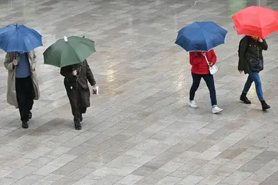 Persone con ombrello sotto la pioggia