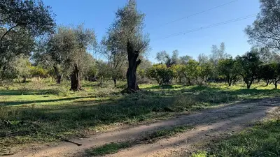 L'azienda Tenuta Badia