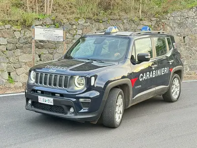 Carabinieri reggio