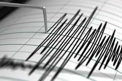 Sismografo rileva scossa di Terremoto