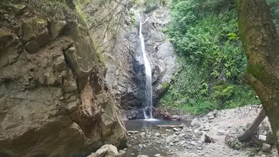 Valli Cupe
