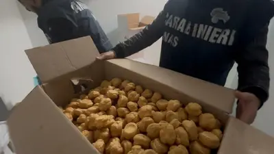 Un sequestro di patate calabresi non tracciate