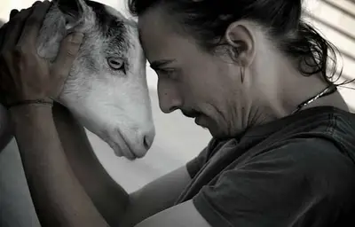 Rusaria una delle tante caprette di Domenico