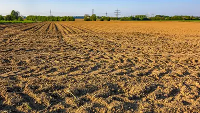 terreno agricolo incolto