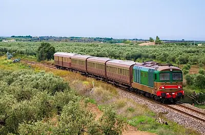 Treno delle Meraviglie