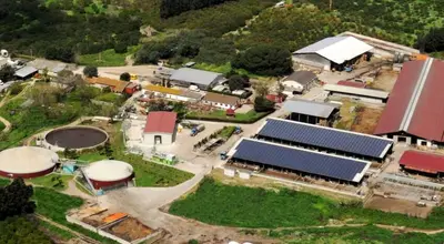 Fattoria della Piana, vista dall’alto.