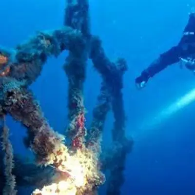 Sub sui fondali della Calabria