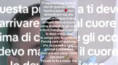 Le minacce di morte di Stefano tramite i video su TikTok