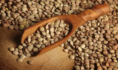 La lenticchia di Mormanno