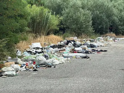 I rifiuti per strada