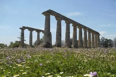 Colonne Magna Graecia