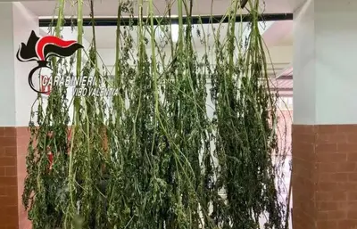 Droga nel vibonese