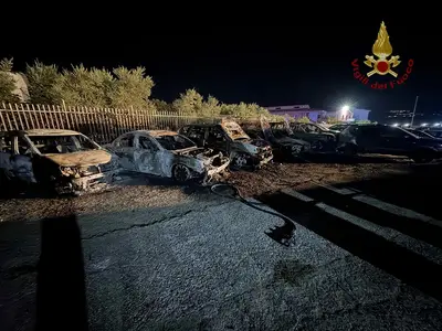 Auto incendiate