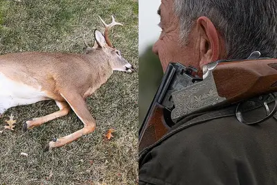 Cacciatore con fucile e cervo morto