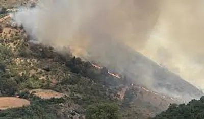 Incendio Cassano Ionio