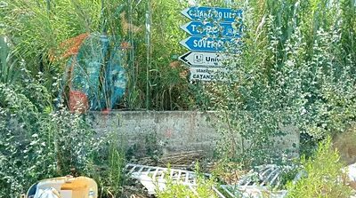 I rifiuti nei pressi della Cittadella regionale