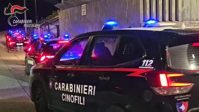Carabinieri
