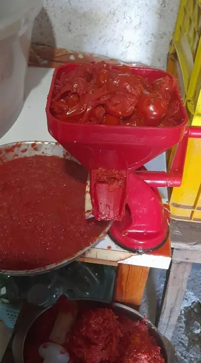 salsa fatta in casa
