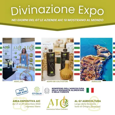 Divinazione Expo